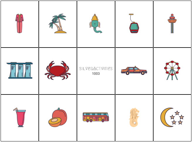 The Singapore Bingo card