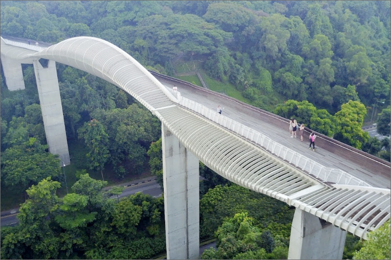 Bridges Of Singapore By SilverActivities